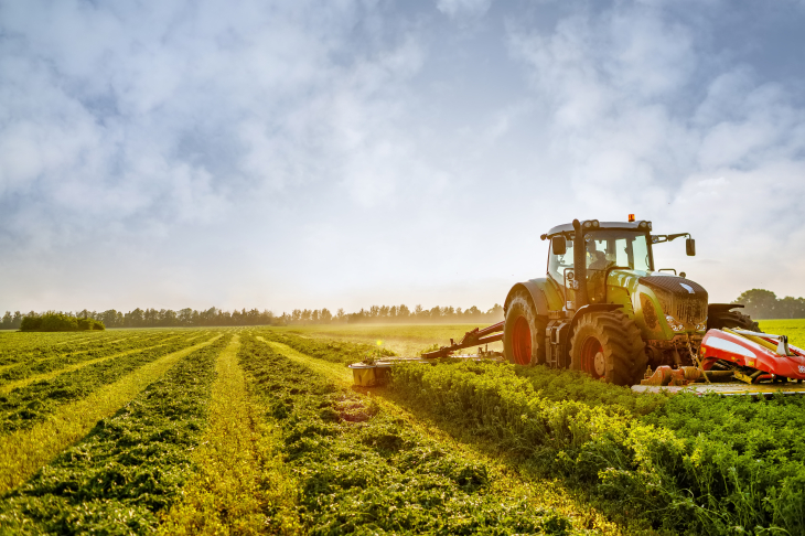 Técnico em Agronegócio